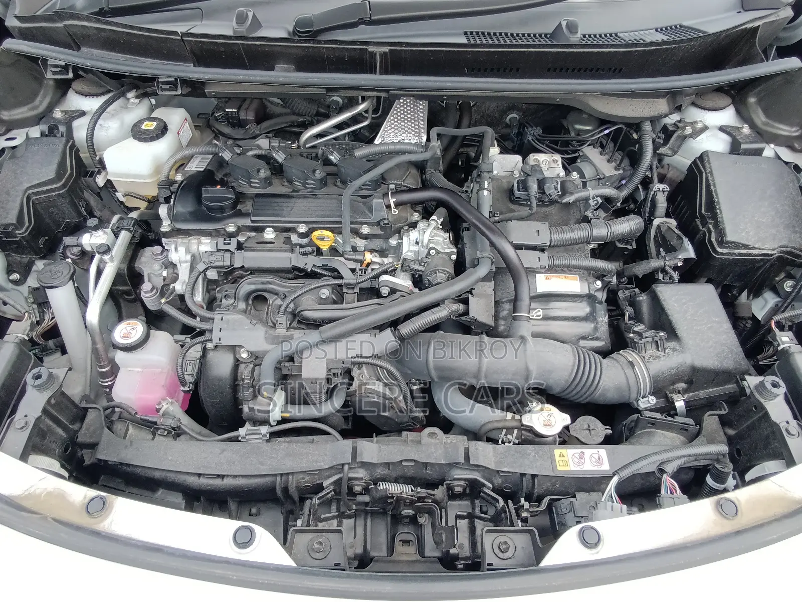 Toyota Yaris Cross 2021 Pearl