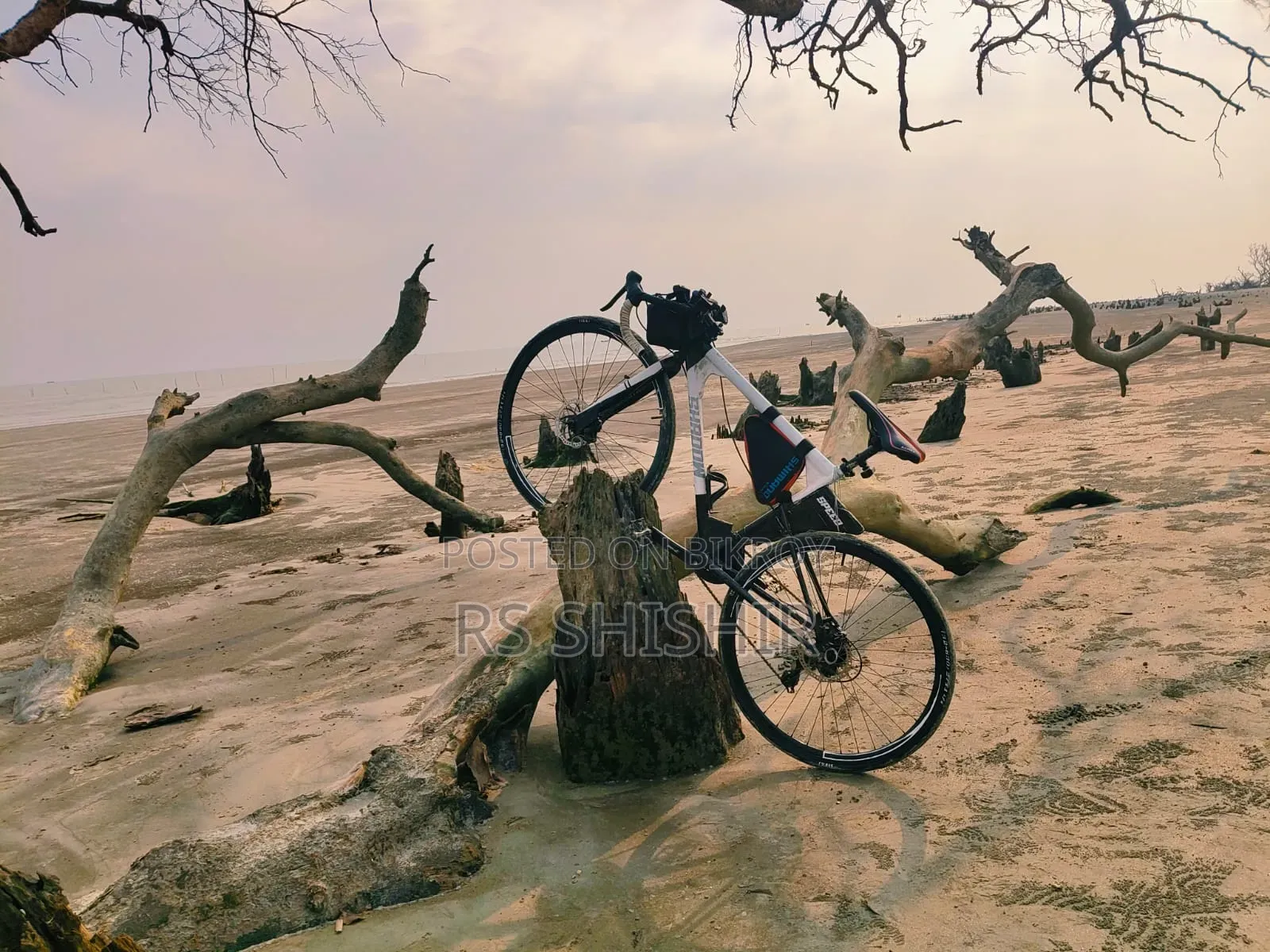 Cycle Road Bike