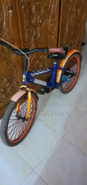 Panda Bicycle