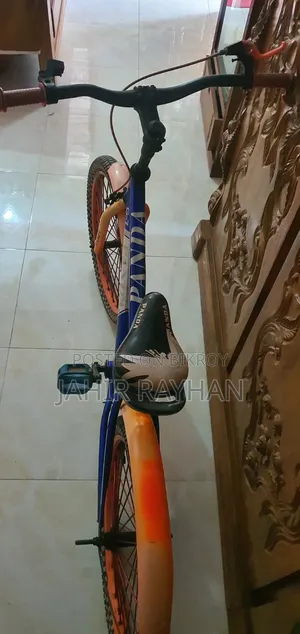 Panda Bicycle