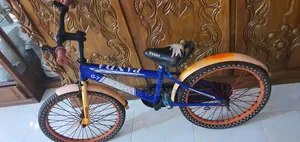 Panda Bicycle