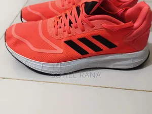 Adidas Shoes