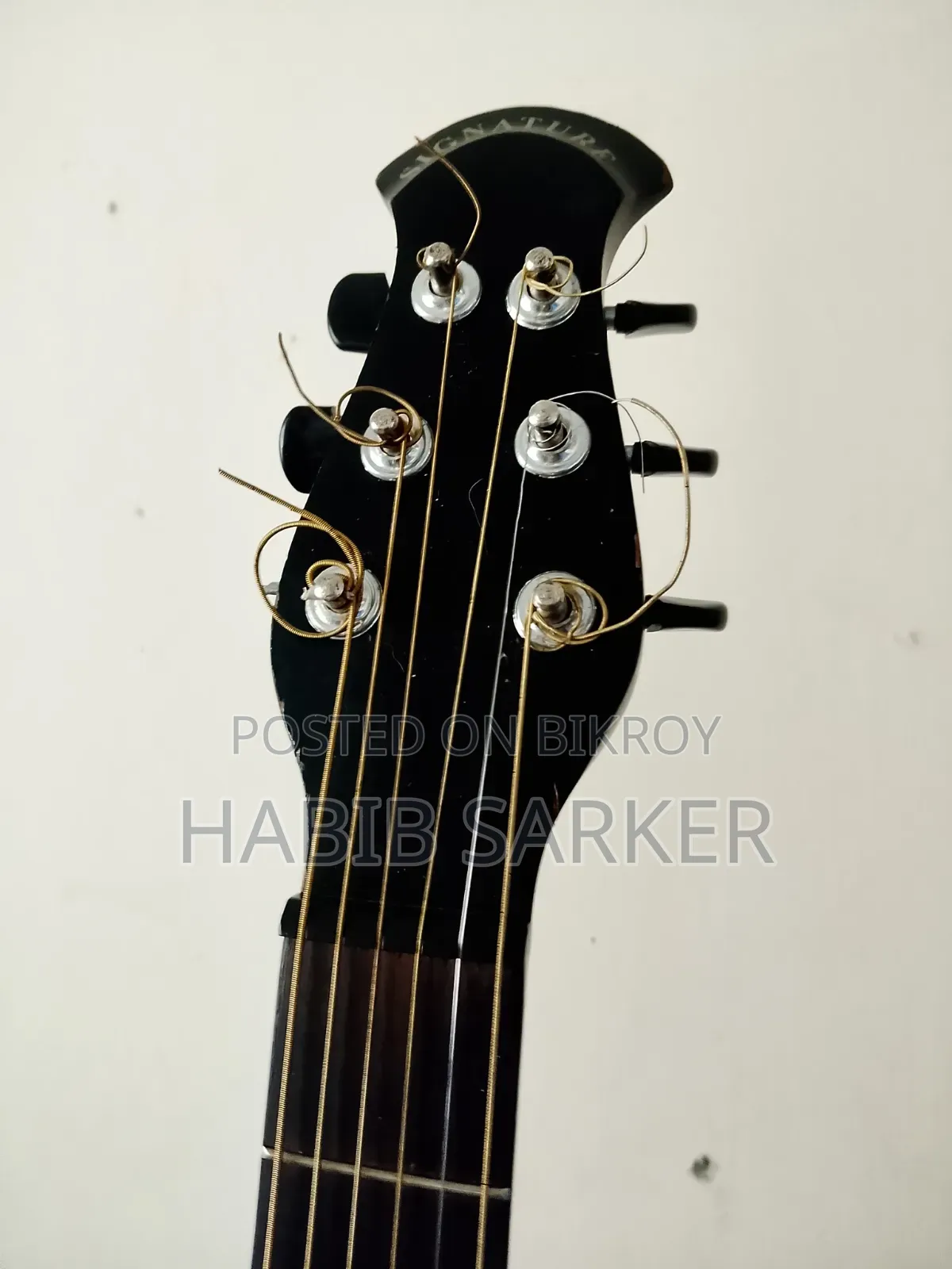 Signature Guitar