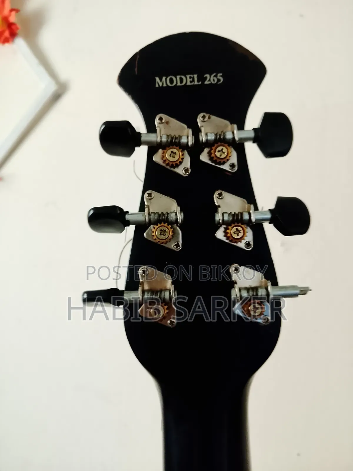 Signature Guitar
