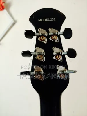 Signature Guitar