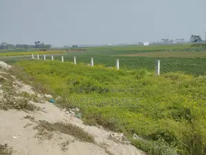 Buy Land Near Dhaka - Mawa Highway at an Attractive Price