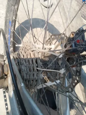 Gear Cycle