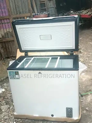 205 Liter Walton model WCF-2T5-GDEL-GX