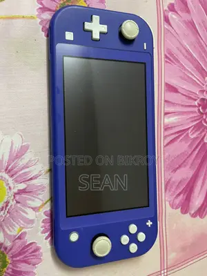 Nintendo Lite