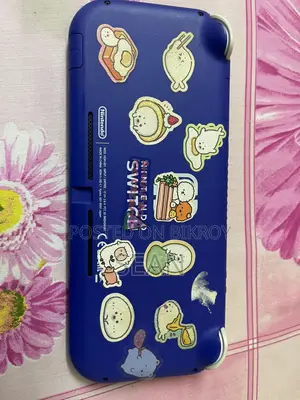 Nintendo Lite
