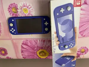 Nintendo Lite
