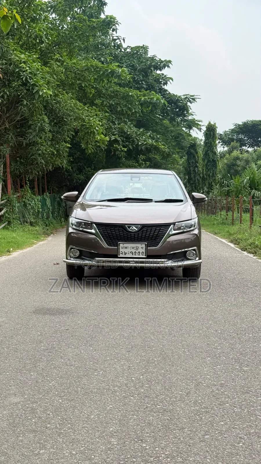 Toyota Allion 2016 Brown