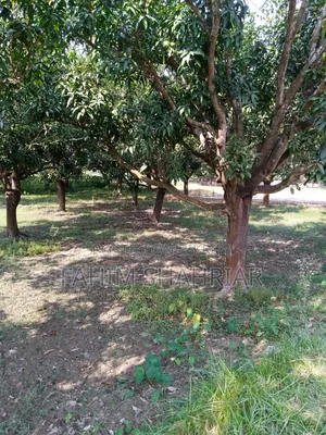 ৭ কাঠা জমি বিক্রয়ের জন্য (পবা, বিরাসাইল)