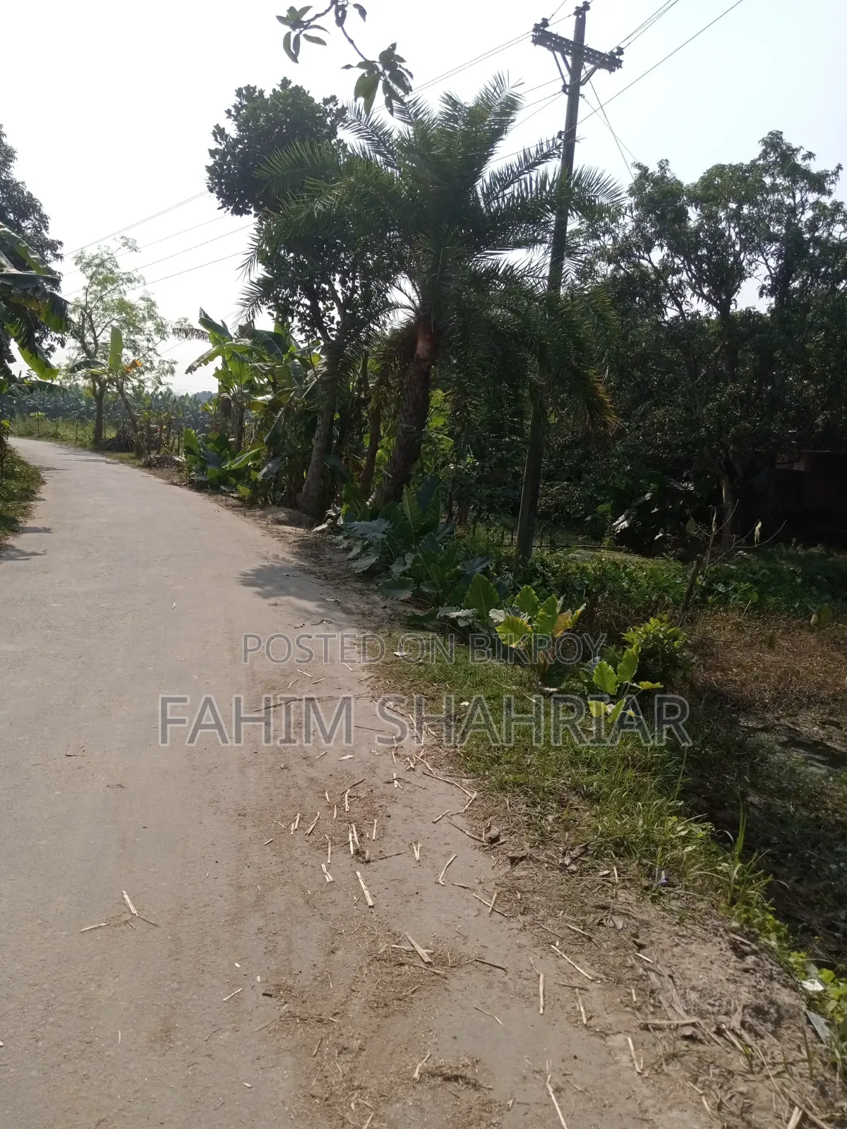 ৭ কাঠা জমি বিক্রয়ের জন্য (পবা, বিরাসাইল)