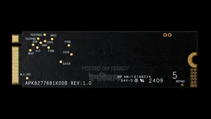 Team 1TB NVMe SSD