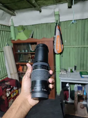 Canon 75-300 Zoom Lens