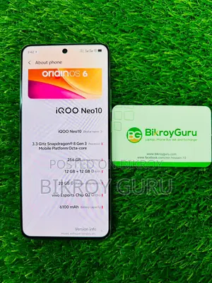 iQOO 256 GB Bronze