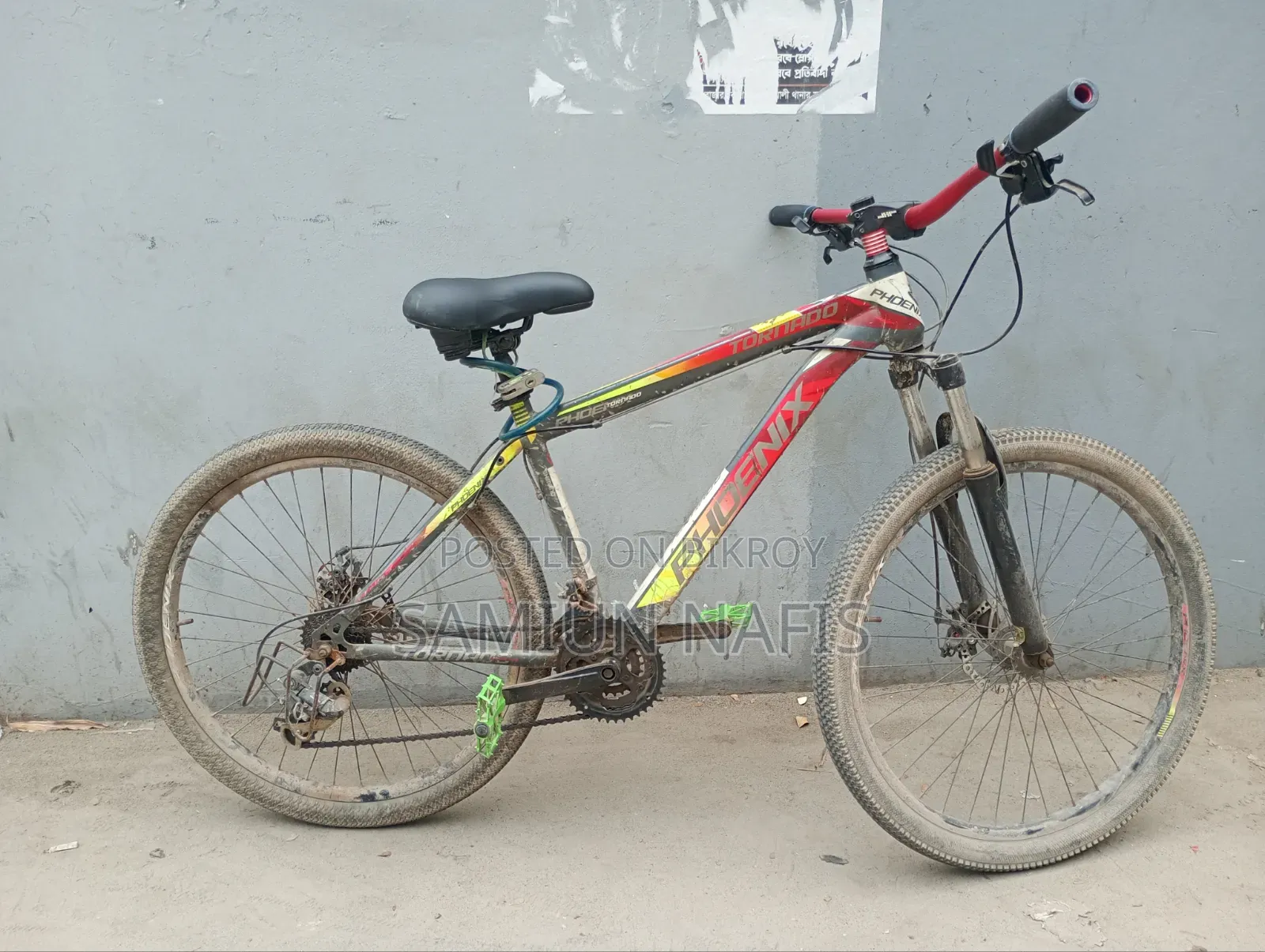 Phoenix Cycle