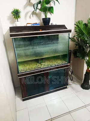 বাসার কিছু পুরাতন ফার্নিচার বিক্রয় করা হবে