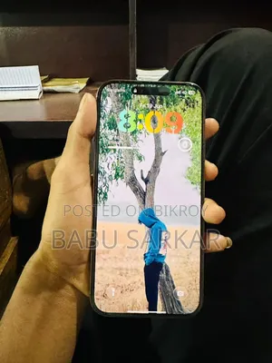 অ্যাপল আইফোন ১৬ প্রো ম্যাক্স ২৫৬ জিবি রোজ গোল্ড