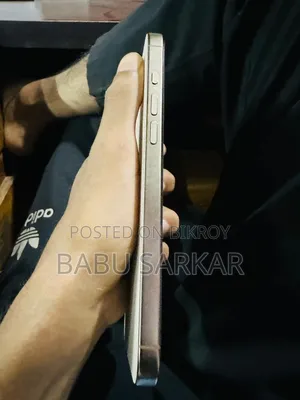অ্যাপল আইফোন ১৬ প্রো ম্যাক্স ২৫৬ জিবি রোজ গোল্ড