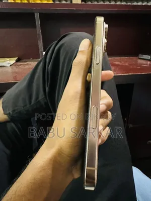 অ্যাপল আইফোন ১৬ প্রো ম্যাক্স ২৫৬ জিবি রোজ গোল্ড