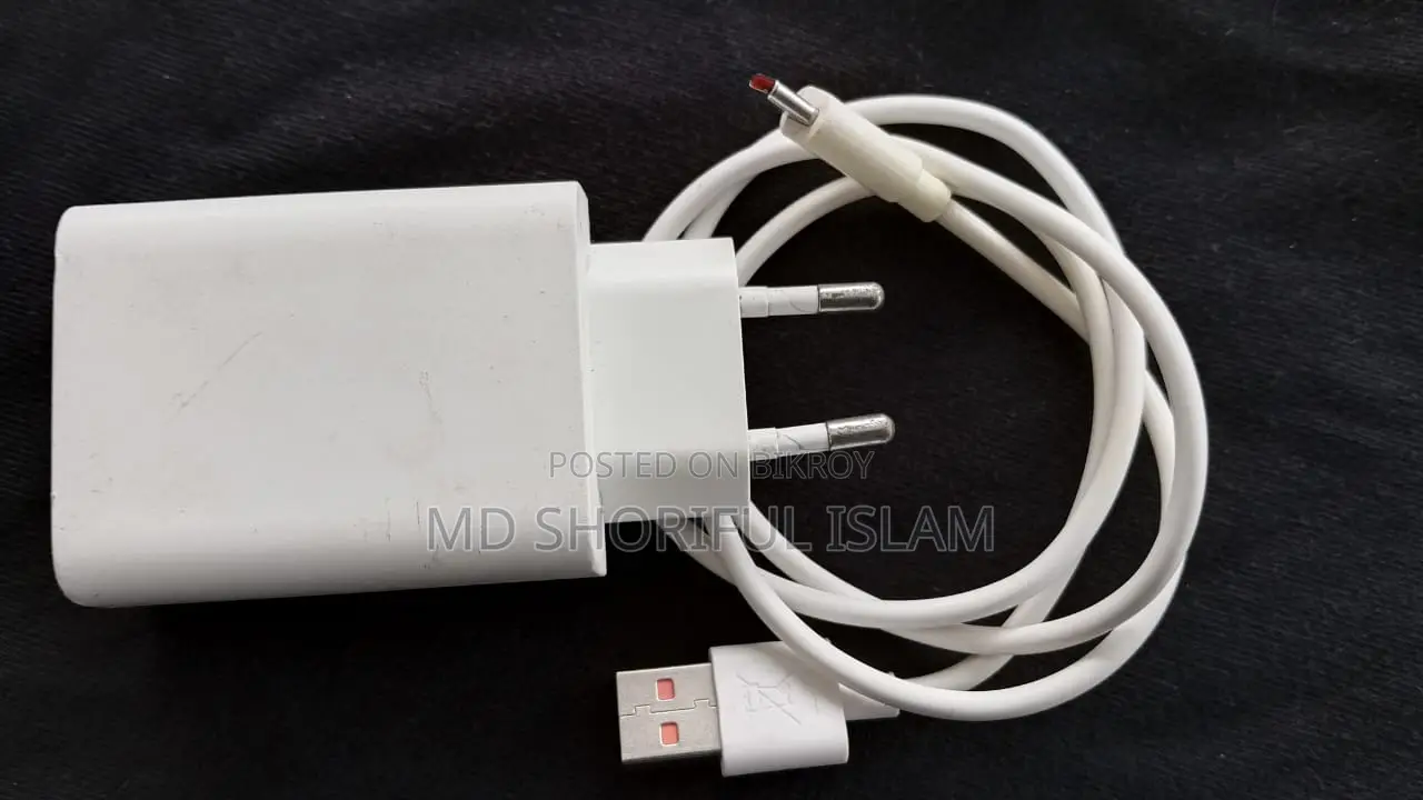 Vivo Charger