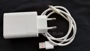 Vivo Charger