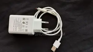 Vivo Charger