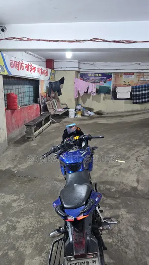বাজাজ পালসার ১৫০ ২০১৭ নীল