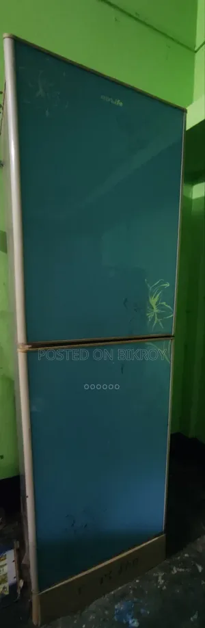 Fridge Big Size