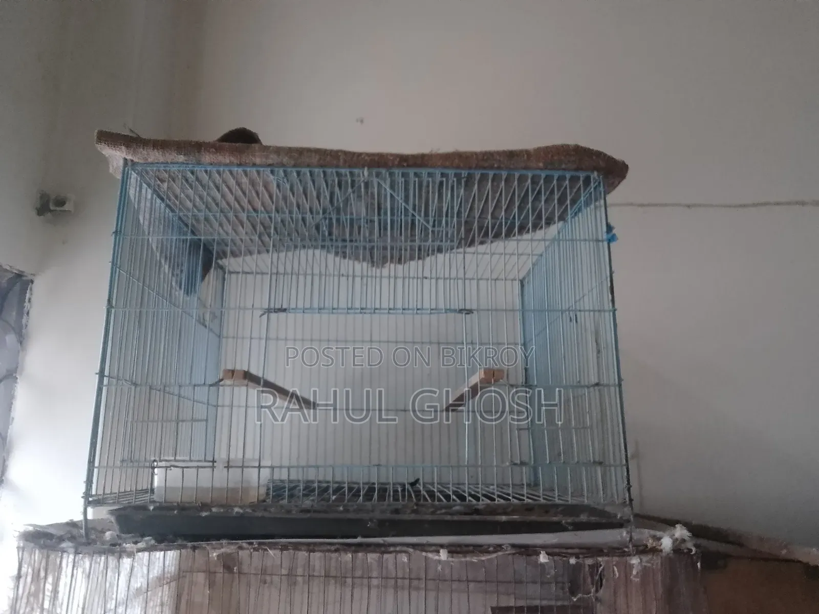Old Cage for Sale