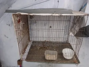 Old Cage for Sale