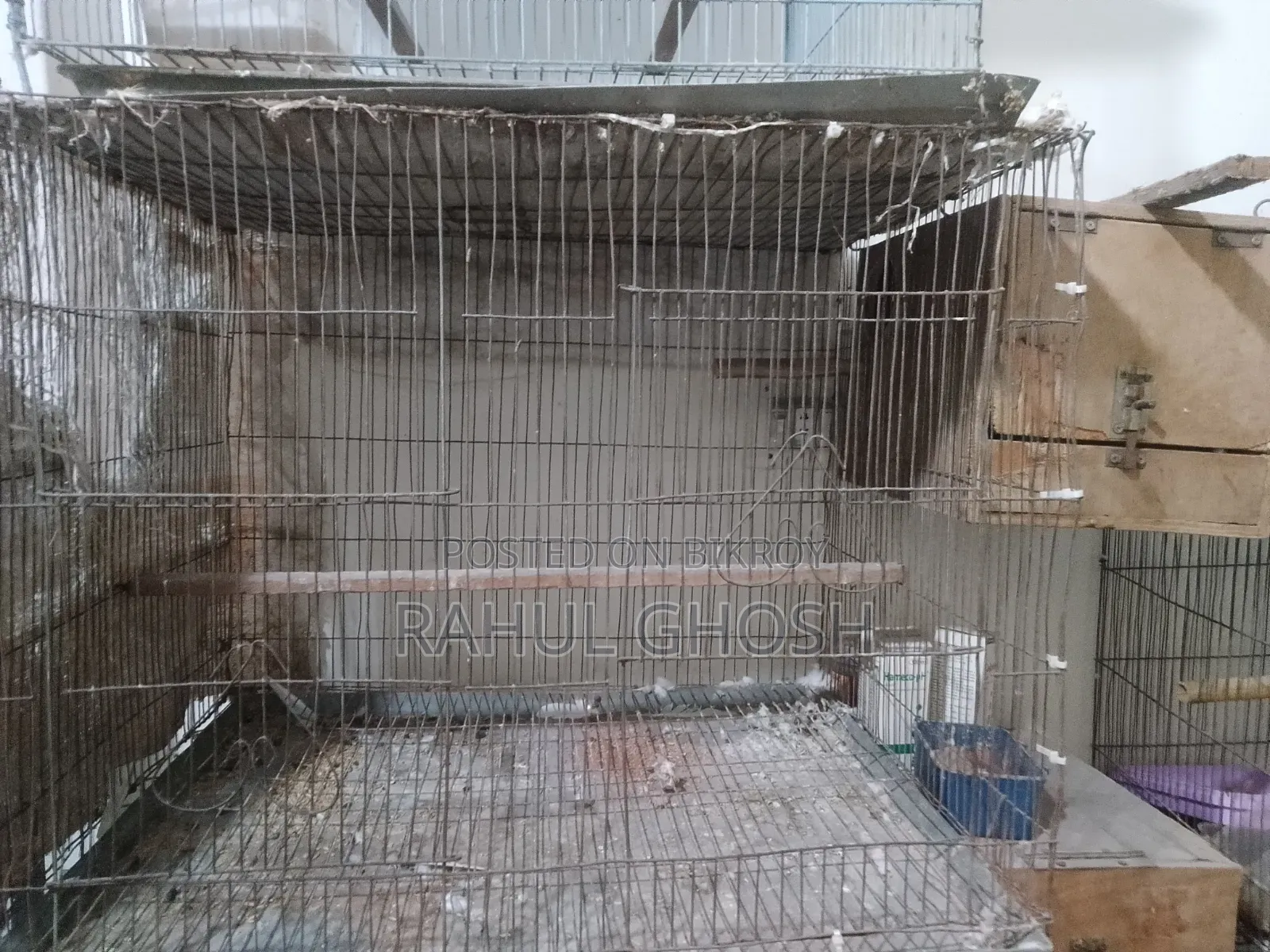 Old Cage for Sale