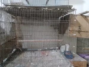 Old Cage for Sale