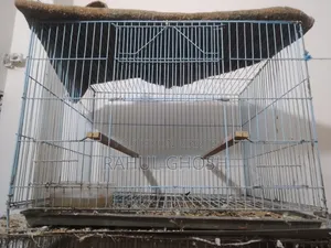 Old Cage for Sale
