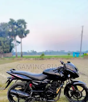 Bajaj Pulsar 150 2013 Black