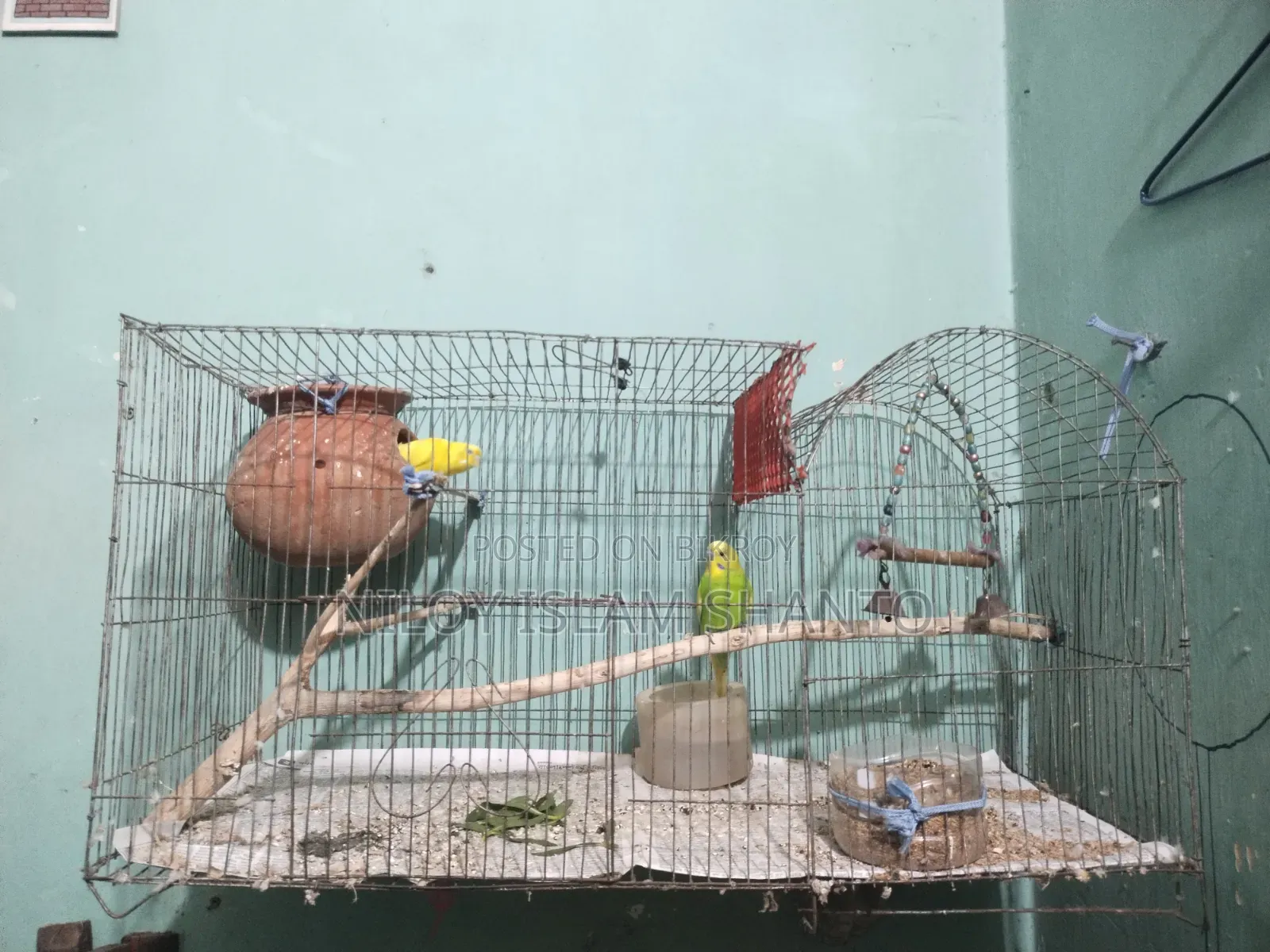 Full Setup, more than half a kg of food included, will give 2 pots