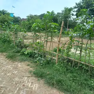 Ready Plot 12 Lac Near Bashundhara Keraniganj