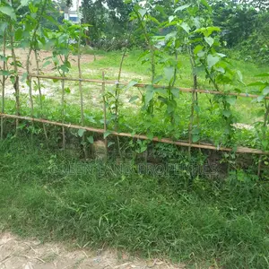 Ready Plot 12 Lac Near Bashundhara Keraniganj