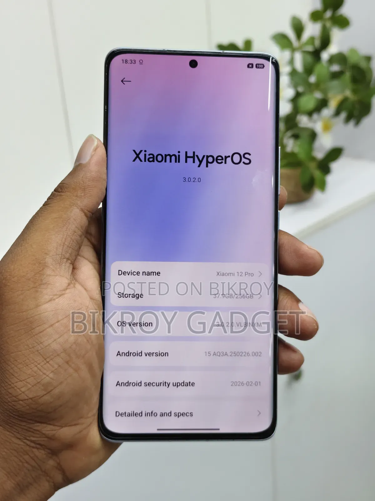 Xiaomi 12 Pro 256 GB Silver