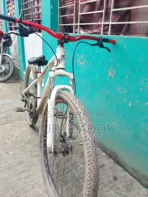 Stunt Gear Cycle