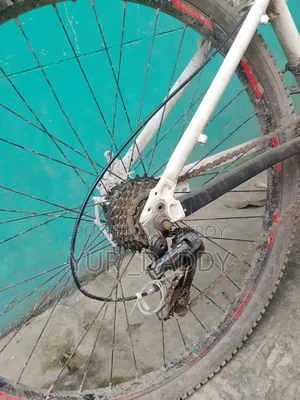Stunt Gear Cycle