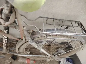 Phonex Bicycle