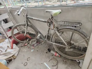 Phonex Bicycle