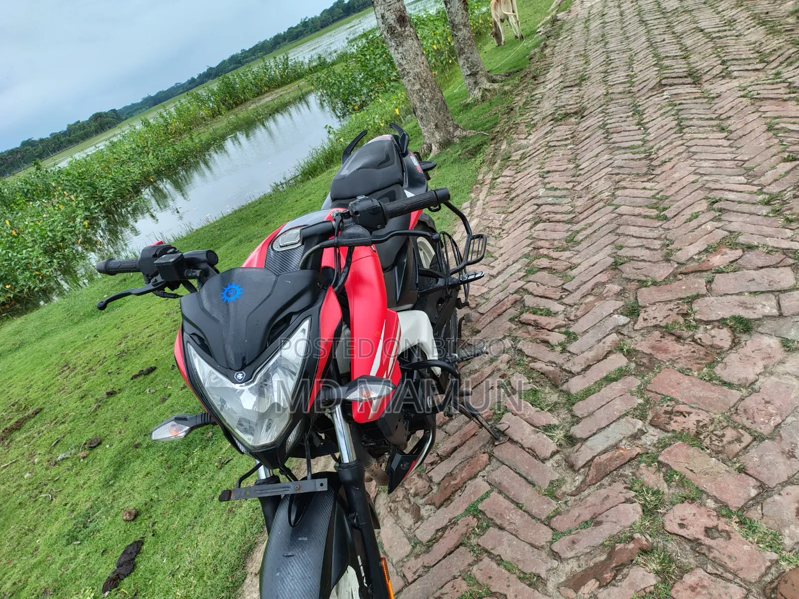 বাজাজ পালসার এনএস ১৬০ ২০২১ লাল