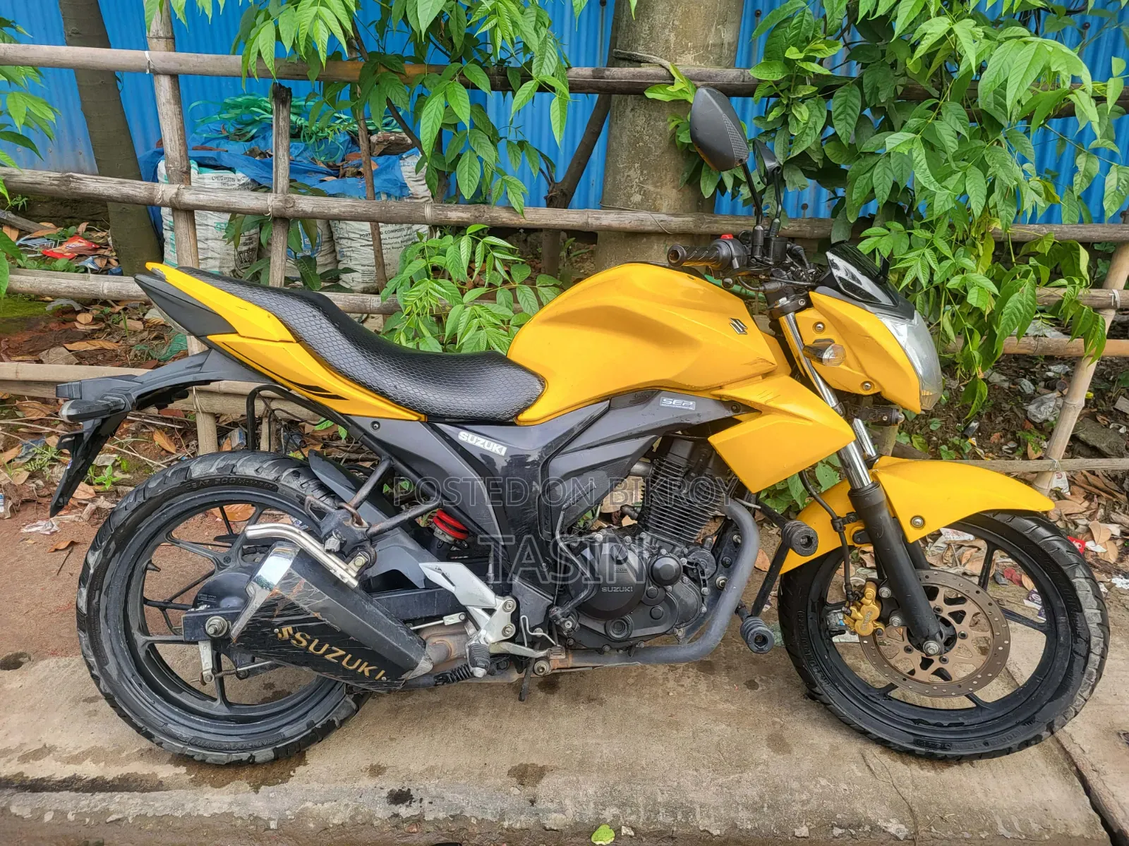 Suzuki Gixxer Monotone 2024 Yellow