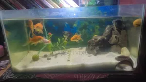 একুরিয়াম ক্রিস্টাল গ্লাসের