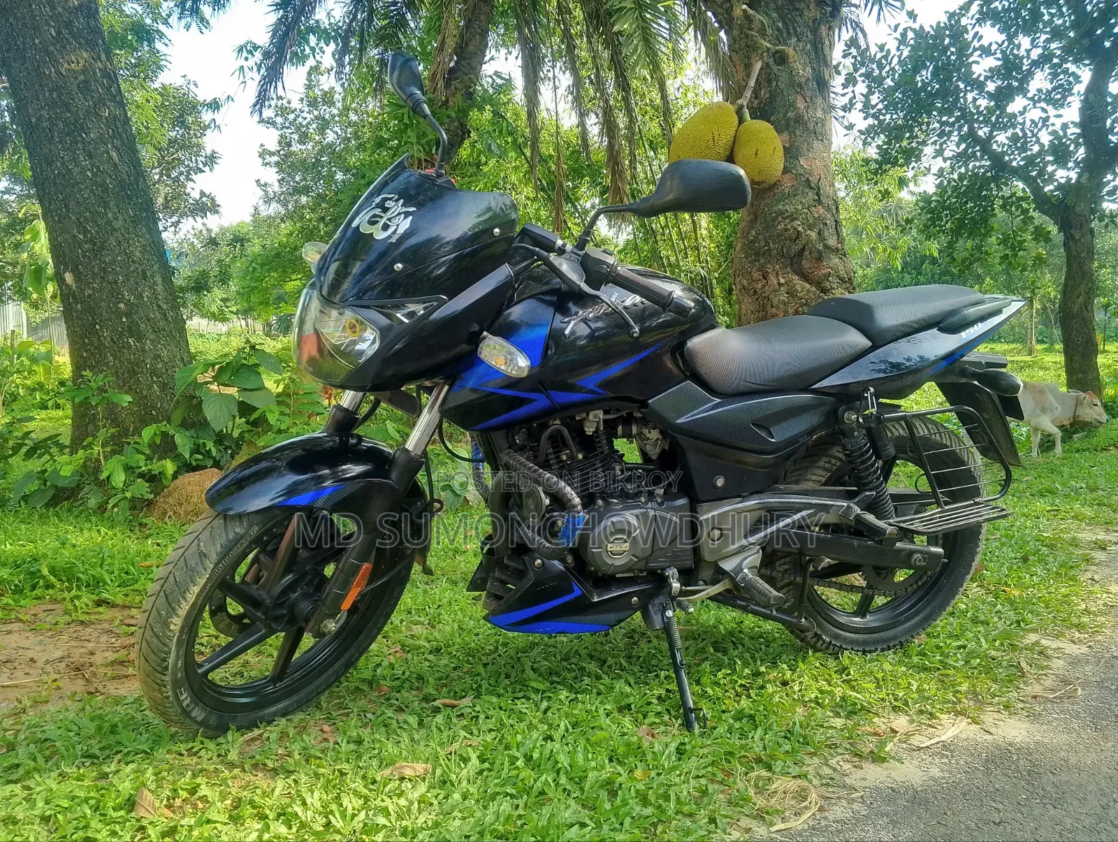 Bajaj Pulsar 150 2020