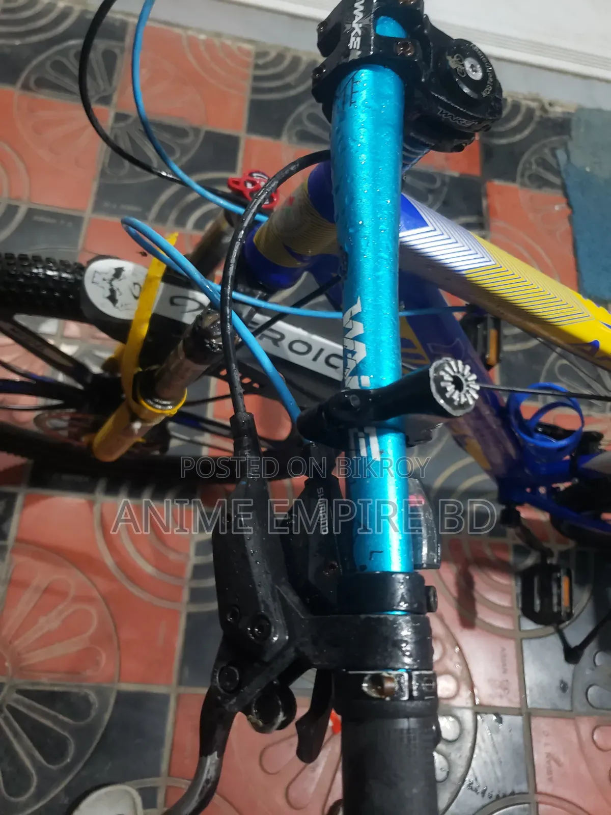 Arrow Michael Oil Brake Cycle